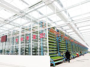 Potret Kecanggihan Sistem Pertanian-Peternakan Pintar di China