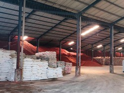 Mengintip Peluang Bisnis Emiten Pupuk Sepanjang 2023