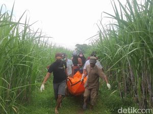 Jatim Sepekan: Ibu Bayi Tewas di Kebun Tebu-Kucing di Balik Tewasnya Biker