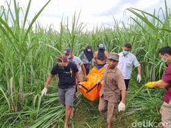 Ibu yang Tewas Bersama Bayi di Kebun Tebu Kediri Kerja ART-Penjual Sayur