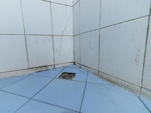 Ini Biang Kerok Jamur Tumbuh di Kamar Mandi Ini Biang Kerok Jamur Tumbuh di Kamar Mandi