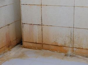 5 Bahan Penghilang Lumut Kamar Mandi, Jadi Bersih dan Kesat 5 Bahan Penghilang Lumut Kamar Mandi, Jadi Bersih dan Kesat