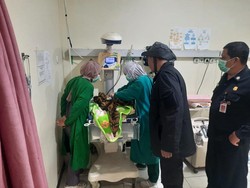 Bayi Masih Hidup Ditemukan di Pinggir Jalan Kawasan Hutan Blitar