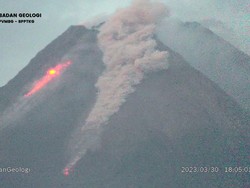 Update Aktivitas Gunung Merapi: 14 Guguran Lava Pijar dalam 6 Jam