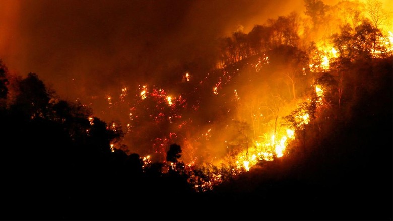 Mendagri Terbitkan Instruksi ke Kepala Daerah Antisipasi Kebakaran Hutan