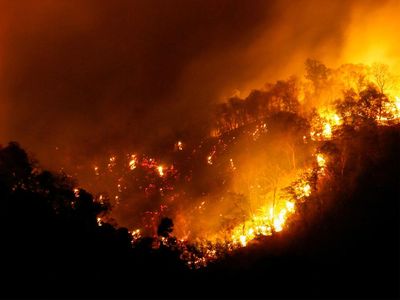Penampakan Kobaran Api Lalap Hutan di Taman Nasional Khao Laem Thailand