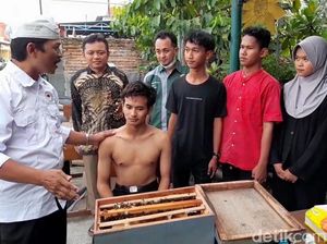 Mengenal Terapi Sengat Lebah Ala Komunitas Peternak Kota Tegal Mengenal Terapi Sengat Lebah Ala Komunitas Peternak Kota Tegal