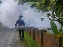 Tiga Bulan, 93 Warga Kabupaten Blitar Terjangkit Demam Berdarah