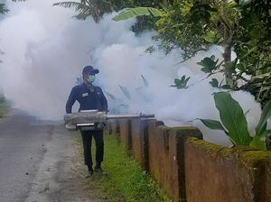 Tiga Bulan, 93 Warga Kabupaten Blitar Terjangkit Demam Berdarah Tiga Bulan, 93 Warga Kabupaten Blitar Terjangkit Demam Berdarah