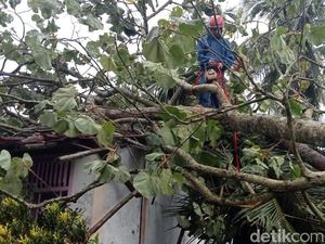 Pohon Timpa Sejumlah Rumah Imbas Cuaca Ekstrem di Ciamis