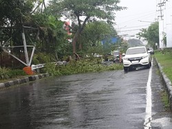 Hujan Angin Sebabkan Banjir-Pohon Tumbang di Surabaya