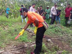 Kakek Hilang 2 Pekan, Ditemukan Tinggal Tengkorak