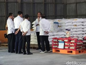 Jokowi Target Beras Sulsel Surplus Lebih 2 Juta Ton Setahun untuk Tekan Harga Jokowi Target Beras Sulsel Surplus Lebih 2 Juta Ton Setahun untuk Tekan Harga