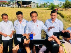 Jokowi Lantik Menpora Baru Pekan Depan
