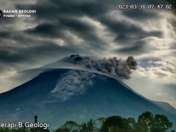 Gunung Merapi Muntahkan Awan Panas Sejauh 1,1 Km ke Kali Bebeng
