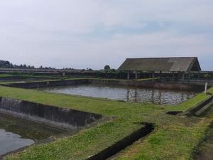 Dinas Perikanan Rancang Mina Eduwisata untuk Tekan Stunting