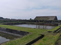 Dinas Perikanan Rancang Mina Eduwisata untuk Tekan Stunting