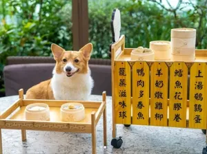 Gemas! Hotel di Hong Kong Ini Sajikan Dimsum Khusus untuk Anjing