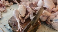 Doa Menyembelih Ayam Sesuai Syariat Islam