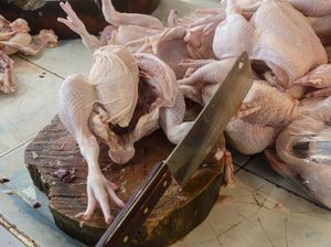 Doa Menyembelih Ayam Sesuai Syariat Islam Doa Menyembelih Ayam Sesuai Syariat Islam