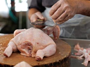 Ayam Potong yang Halal Dikonsumsi Musim Harus Memenuhi Syarat Ini