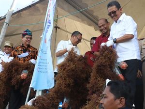 Trenggono Pacu Hilirisasi Rumput Laut di Perbatasan RI-Malaysia