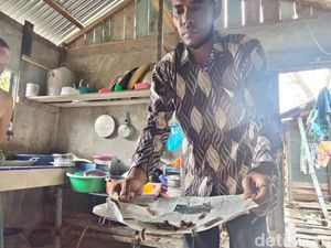 Ulat Bulu Serang Puluhan Rumah Warga di Asahan