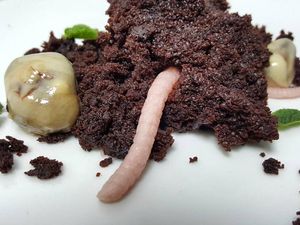 Yummy! 10 Dessert Unik Bentuk Cacing dan Puntung Rokok Ini Bisa Dimakan Yummy! 10 Dessert Unik Bentuk Cacing dan Puntung Rokok Ini Bisa Dimakan