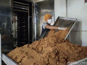 Mengenal Gula Semut Lebak yang Tembus Pasar Internasional