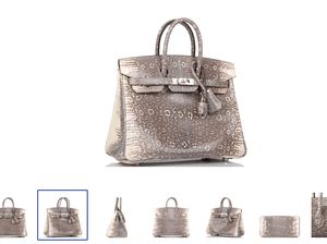 Mengenal Tas Hermes Birkin Ombre Diduga Versi KW Dipakai Istri Petinggi Dishub DKI