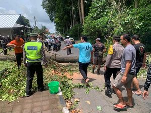 Bapak-Ibu-Anak Naik Motor Tertimpa Pohon Tumbang