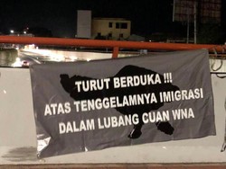 Sindiran Telak untuk Imigrasi: Tenggelam dalam Lubang Cuan WNA
