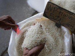 Harga Beras Diprediksi Sulit Balik ke HET Rp 10.900/Kg
