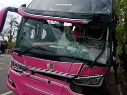 Bus Oleng Tabrak Tiang Listrik di Sidrap, 1 Penumpang Luka