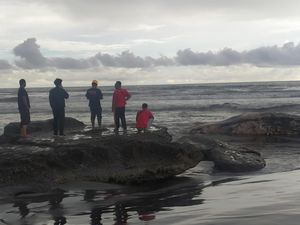 Bangkai Paus Terdampar di Pantai Batulumbang