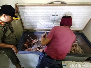 Razia Pasar, Satpol PP Kulon Progo Sita Puluhan Kg Daging Sapi Busuk