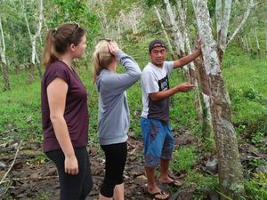Penebang Pohon Ilegal Insaf, Kini Jadi Pahlawan TN Meru Betiri