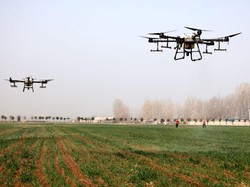 Mahar Selangit Modernisasi Pertanian