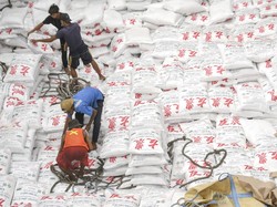 Benarkah Harga-harga Beras cs Turun Seperti Kata Jokowi? Ini Faktanya