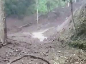 Longsor Putus Total Akses ke Kawasan Ijen via Bondowoso Longsor Putus Total Akses ke Kawasan Ijen via Bondowoso