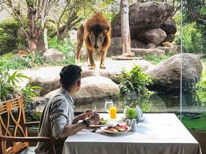 Makan Bareng Singa dan di Dalam Gua, Ini 10 Restoran dengan Konsep Keren Makan Bareng Singa dan di Dalam Gua, Ini 10 Restoran dengan Konsep Keren