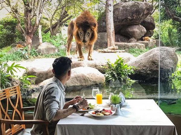 Berita Dan Informasi Restoran Konsep Keren Terkini Dan Terbaru Hari Ini