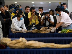 Pameran Mumi Digelar, Pakar Ingatkan Risiko Penularan Wabah Jamur