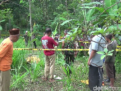 Petani di Lumajang Tewas Bersimbah Darah, Tubuhnya Penuh Luka Bacok
