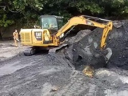 Upacara Sederhana Sertai Penguburan Bangkai Paus Bryde di Batulumbang