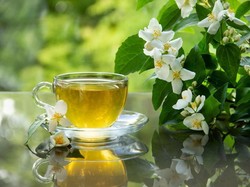 4 Alasan Minum Teh Jasmine Ideal untuk Sahur, Bisa Bikin Berenergi!