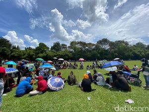 Praktik Ida Dayak Banjir Peminat, RI Kekurangan Dokter Ortopedi? Ini Datanya