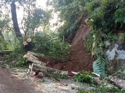 Jalur Menuju Pura Besakih Tertutup Longsor-Pohon Tumbang