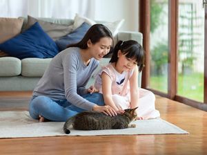 7 Tips Liburan Bersama Hewan Peliharaan agar Tetap Aman dan Nyaman 7 Tips Liburan Bersama Hewan Peliharaan agar Tetap Aman dan Nyaman