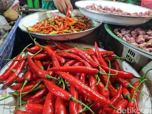 Harga Cabai Kian Melandai, Rawit Merah Rp 50.000/kg